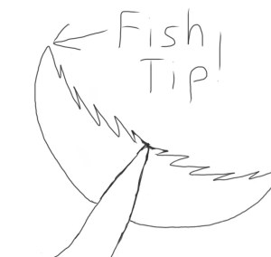 Tip of a fish