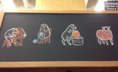 An enterprising sheep